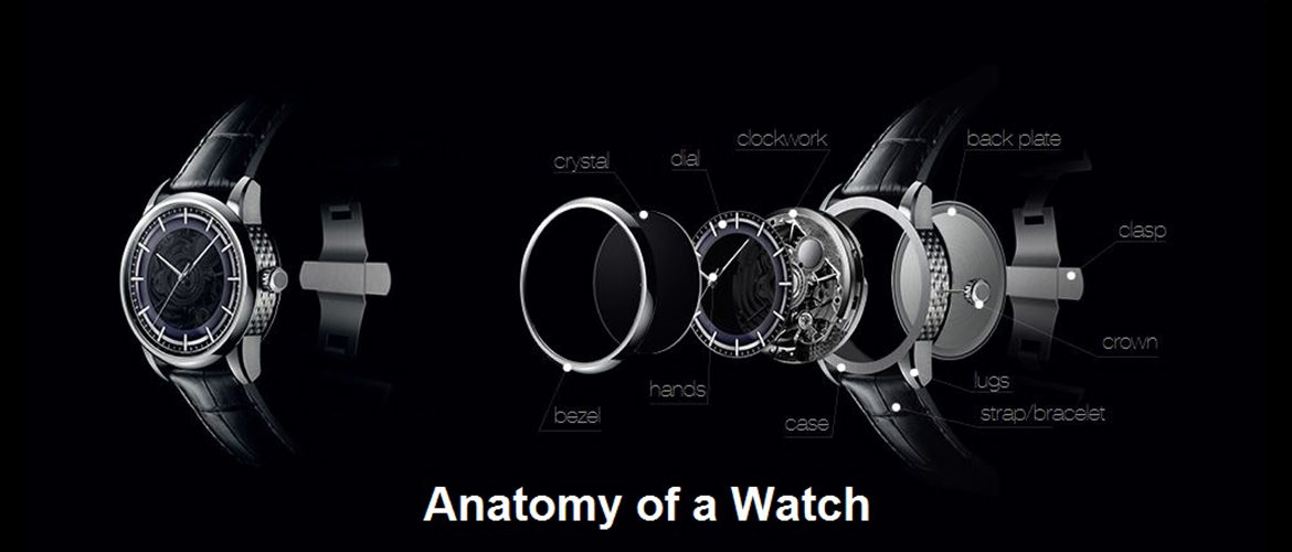 luxury watch anatomy