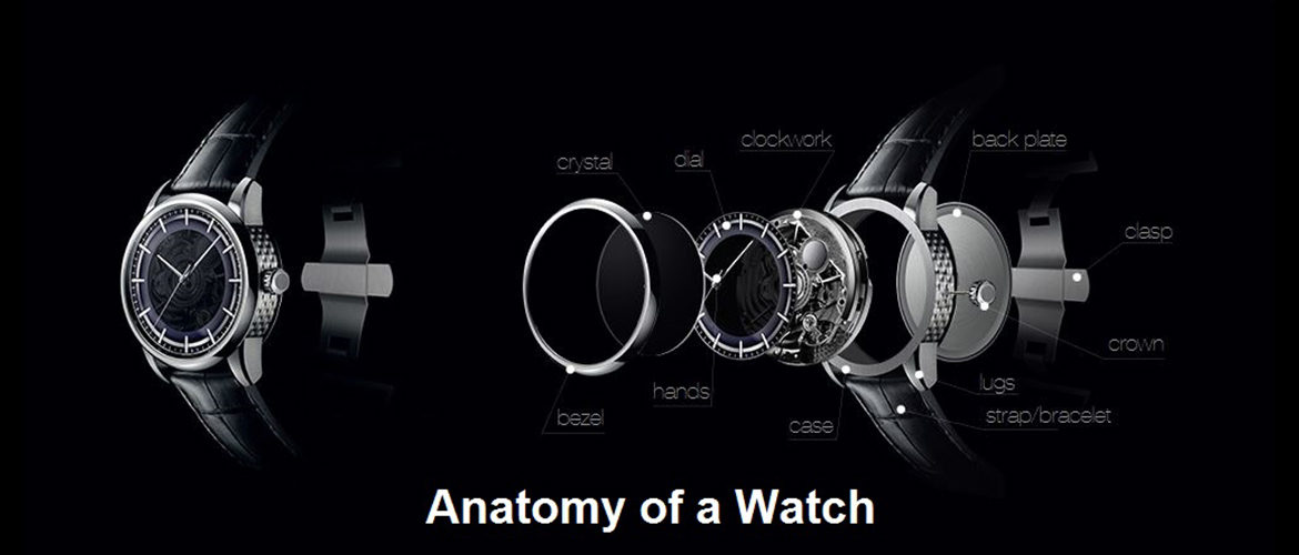 Anatomy of a Watch