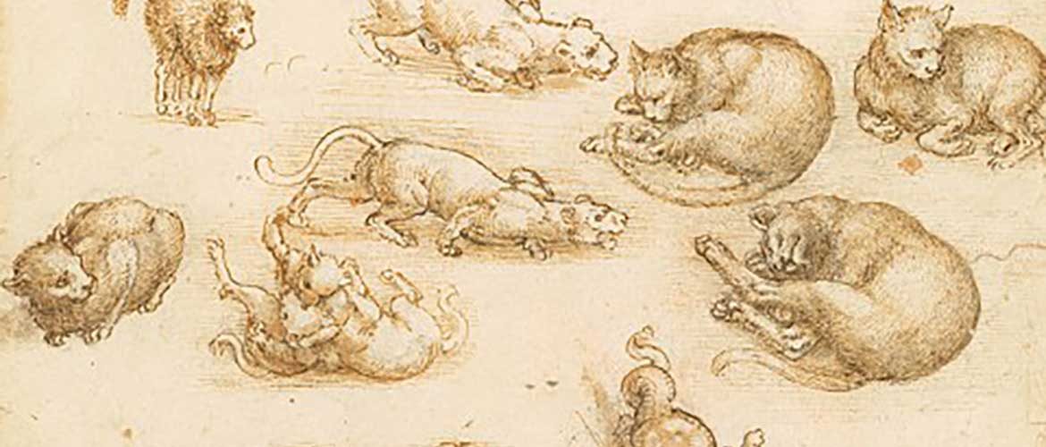 Leonardo da Vinci drawings to Go on UK Tour