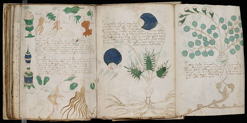 The Mystery of the Voynich Manuscript