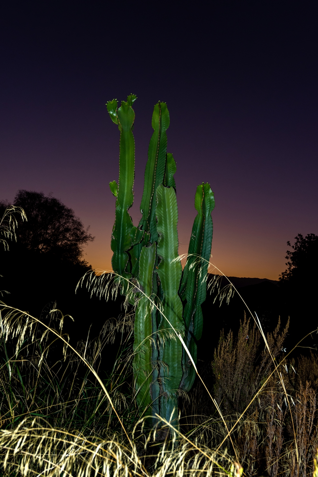 William Josephs Radford: Fine Art Photography That Challenges Views