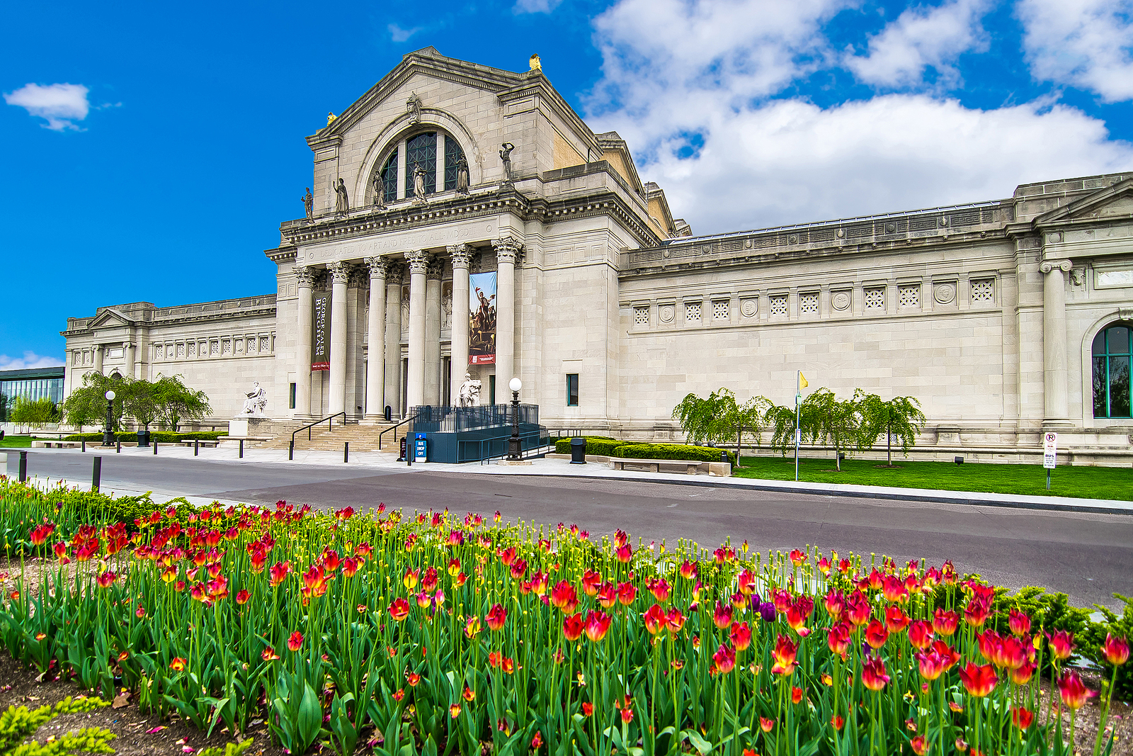 The Saint Louis Art Museum’s Virtual Summit on Diversity