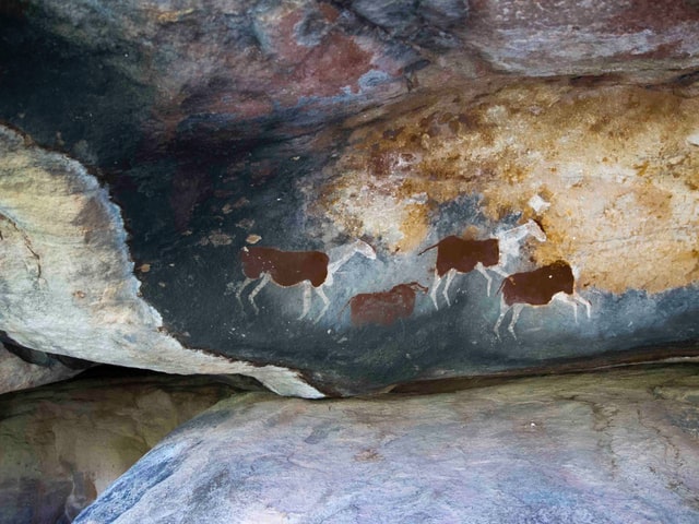 What Cave Art Can Teach People About Creativity?