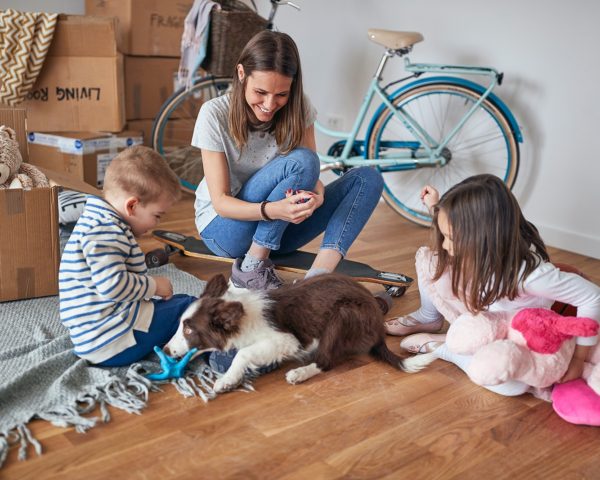 Moving Home? Here’s How to Keep Your Pets Comfortable During Transit