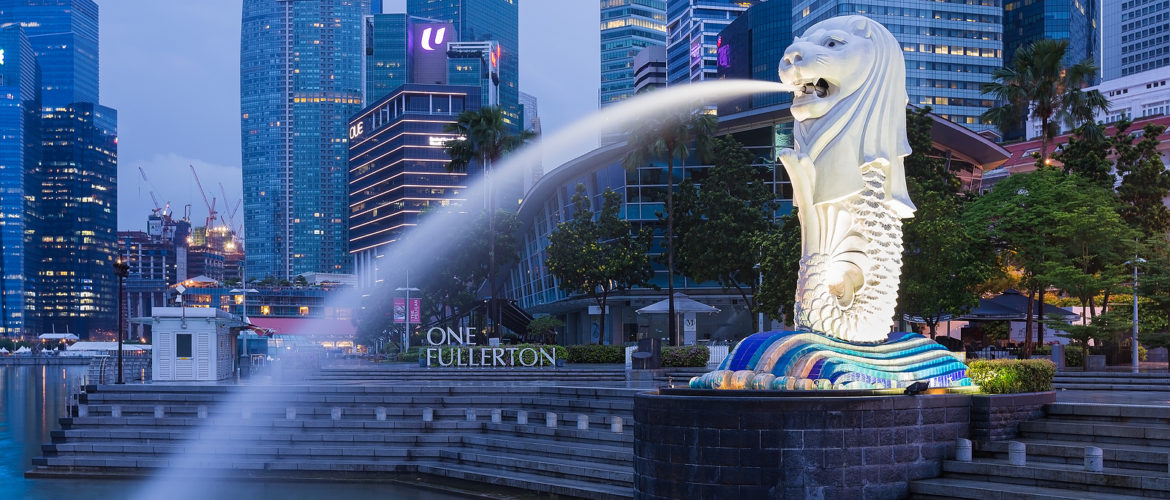 Singapore Welcomes Tourists, Professionals, Vacationers, and Students