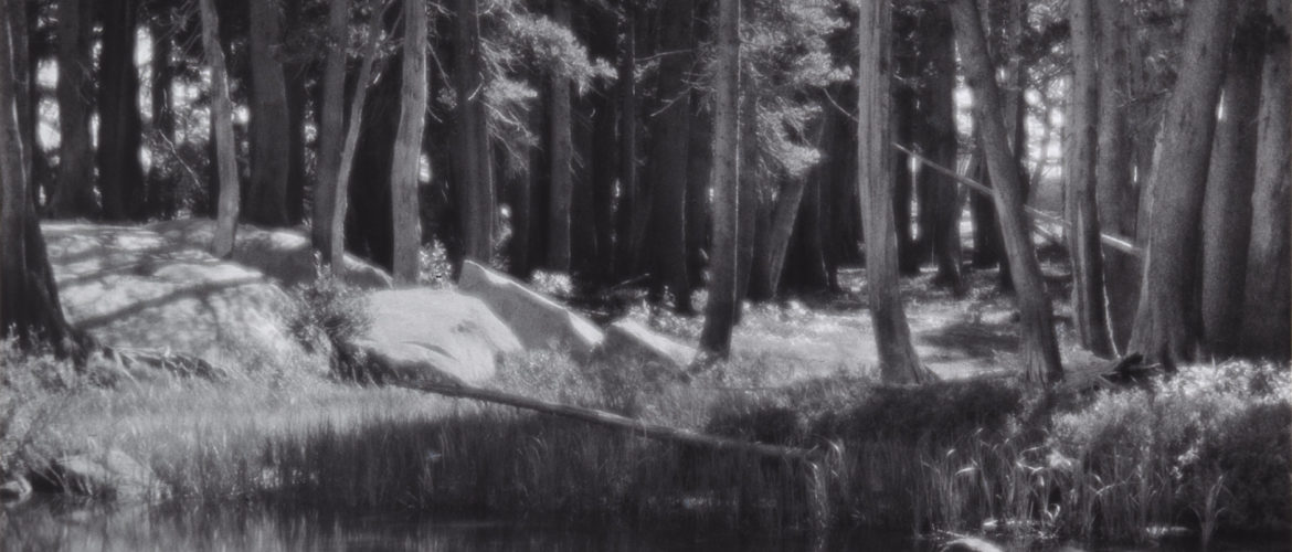 Everything You Should Know About Ansel Adams Photography
