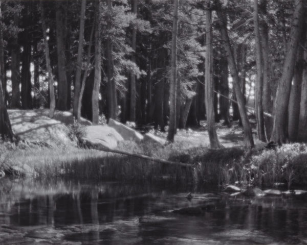 Everything You Should Know About Ansel Adams Photography