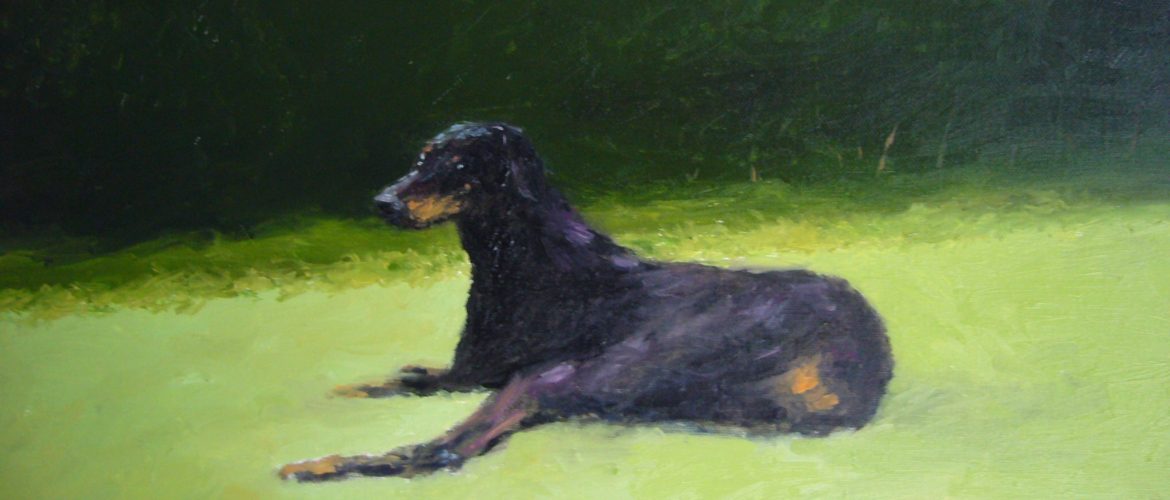 Dog Show at Nel A Tribute to Pets with a Difference