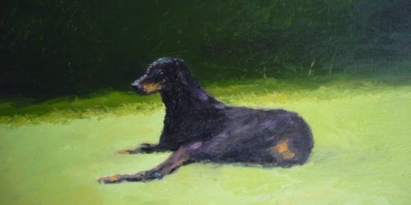 Dog Show at Nel A Tribute to Pets with a Difference