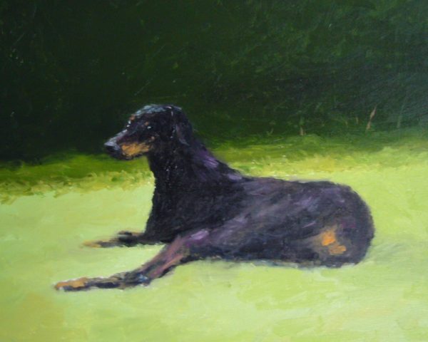 Dog Show at Nel: A Tribute to Pets with a Difference