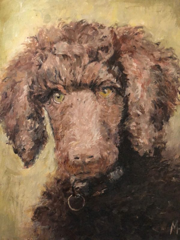 Dog Show at Nel A Tribute to Pets with a Difference