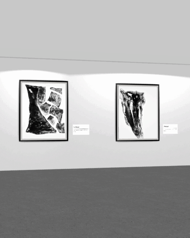 Creative Interrogation of Natural Processes in the Work of Marina Chisty