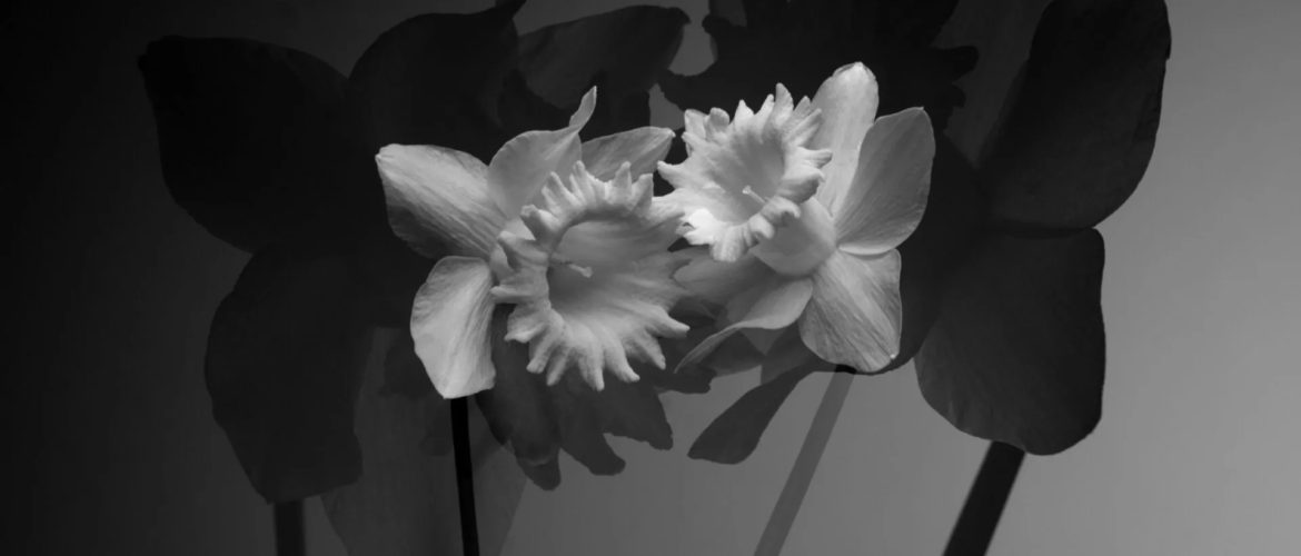 William Josephs Radford Has Presented New Photography Projects