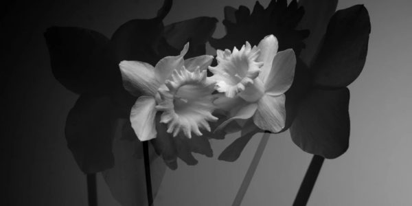 William Josephs Radford Has Presented New Photography Projects