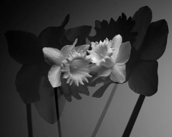 William Josephs Radford Has Presented New Photography Projects