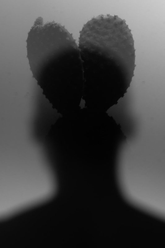 William Josephs Radford Has Presented New Photography Projects