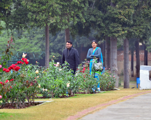 Chandigarh, an Ambitious Urban Project by Le Corbusier Chandigarh, an Ambitious Urban Project by Le Corbusier