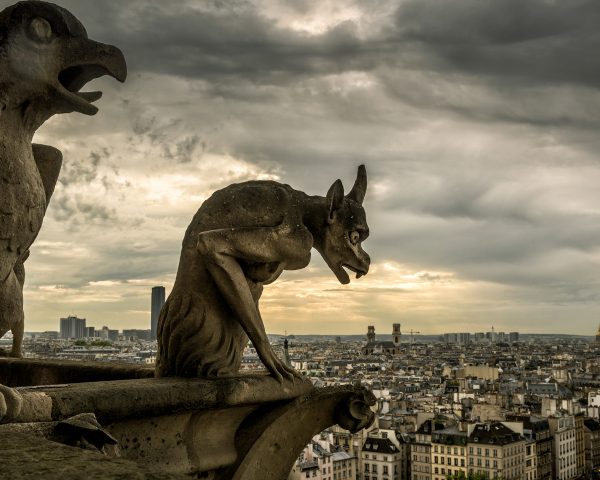 Wonders of Notre-Dame de Paris: The Secret Language of Gargoyles Wonders of Notre-Dame de Paris: The Secret Language of Gargoyles