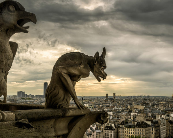 Wonders of Notre-Dame de Paris: The Secret Language of Gargoyles Wonders of Notre-Dame de Paris: The Secret Language of Gargoyles
