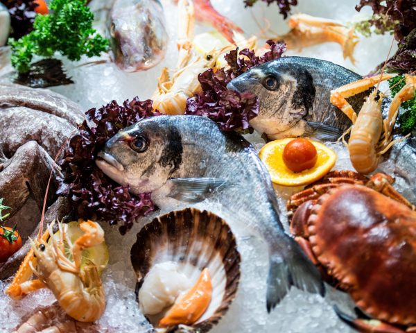 The Gourmet Kitchen: Elevating Ocean Dishes with Quality Ingredients The Gourmet Kitchen: Elevating Ocean Dishes with Quality Ingredients